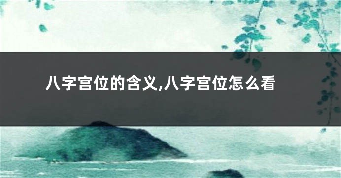 八字宫位的含义,八字宫位怎么看