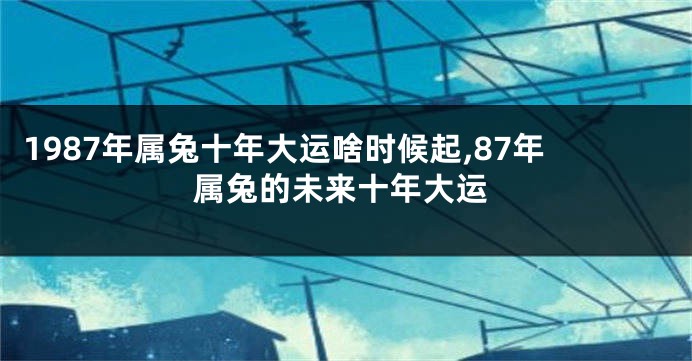 1987年属兔十年大运啥时候起,87年属兔的未来十年大运