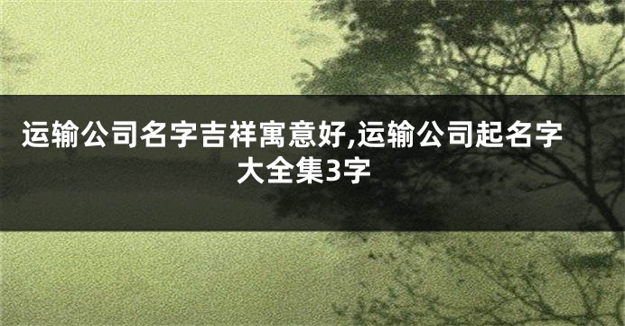 运输公司名字吉祥寓意好,运输公司起名字大全集3字