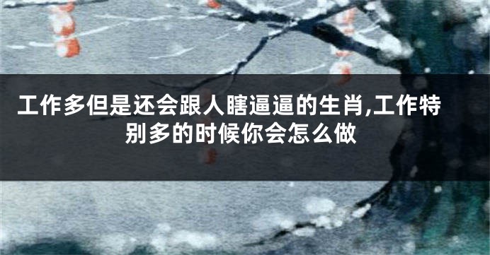 工作多但是还会跟人瞎逼逼的生肖,工作特别多的时候你会怎么做