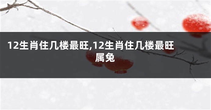 12生肖住几楼最旺,12生肖住几楼最旺属兔