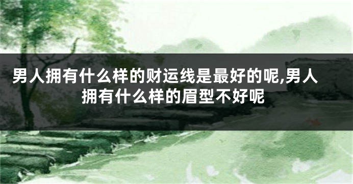 男人拥有什么样的财运线是最好的呢,男人拥有什么样的眉型不好呢
