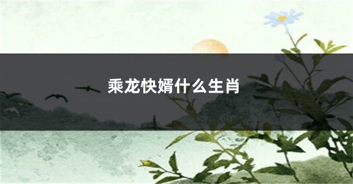 乘龙快婿什么生肖