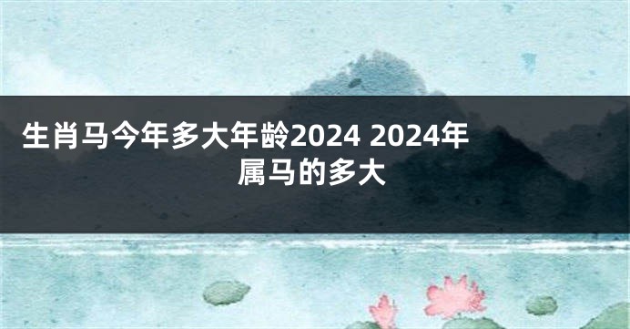 生肖马今年多大年龄2024 2024年属马的多大