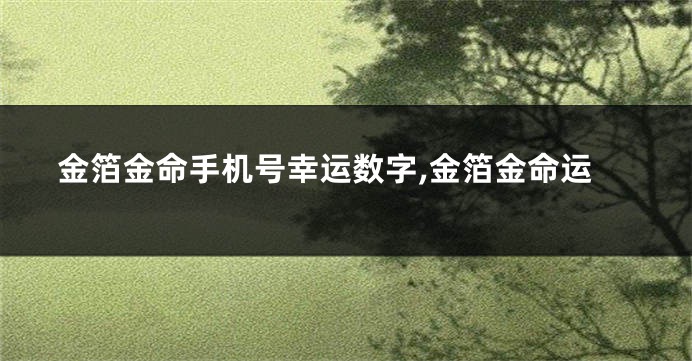 金箔金命手机号幸运数字,金箔金命运