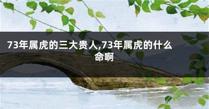 73年属虎的三大贵人,73年属虎的什么命啊
