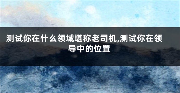 测试你在什么领域堪称老司机,测试你在领导中的位置