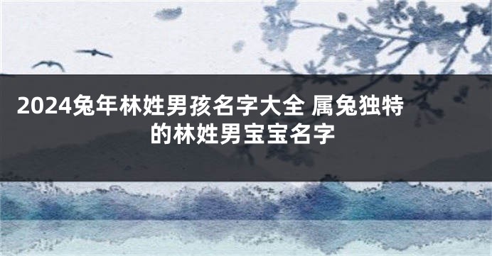 2024兔年林姓男孩名字大全 属兔独特的林姓男宝宝名字