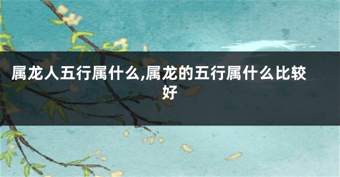 属龙人五行属什么,属龙的五行属什么比较好