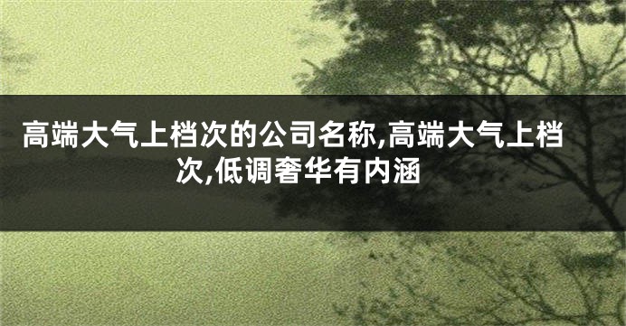 高端大气上档次的公司名称,高端大气上档次,低调奢华有内涵