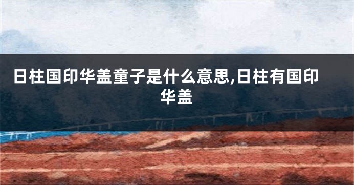日柱国印华盖童子是什么意思,日柱有国印华盖
