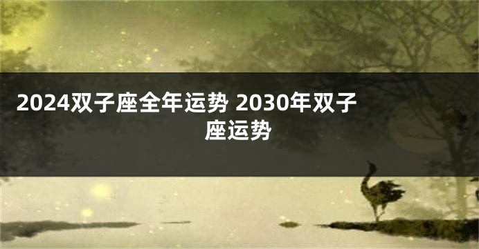 2024双子座全年运势 2030年双子座运势