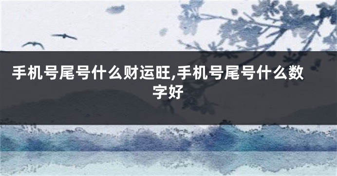 手机号尾号什么财运旺,手机号尾号什么数字好