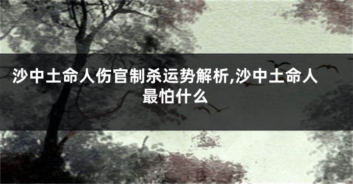 沙中土命人伤官制杀运势解析,沙中土命人最怕什么