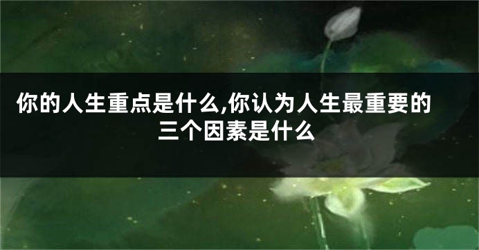 你的人生重点是什么,你认为人生最重要的三个因素是什么