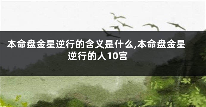 本命盘金星逆行的含义是什么,本命盘金星逆行的人10宫