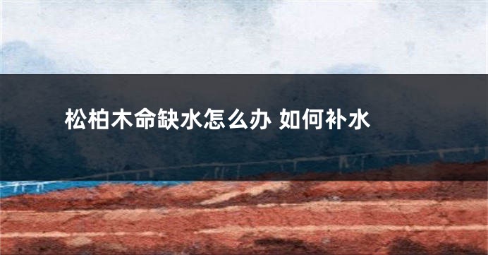 松柏木命缺水怎么办 如何补水 