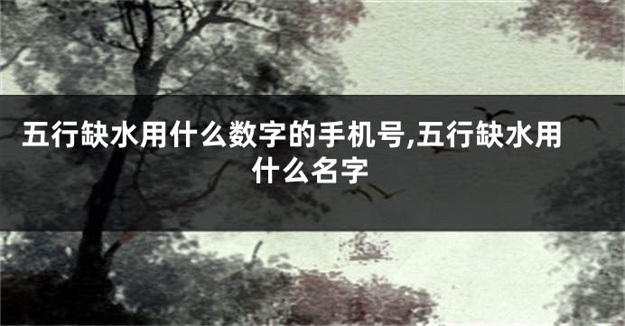 五行缺水用什么数字的手机号,五行缺水用什么名字