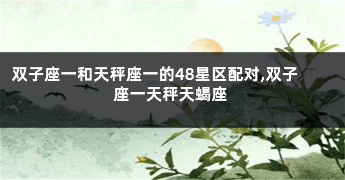 双子座一和天秤座一的48星区配对,双子座一天秤天蝎座