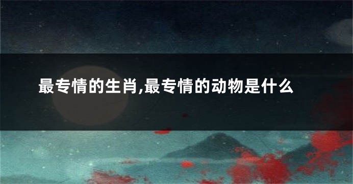 最专情的生肖,最专情的动物是什么