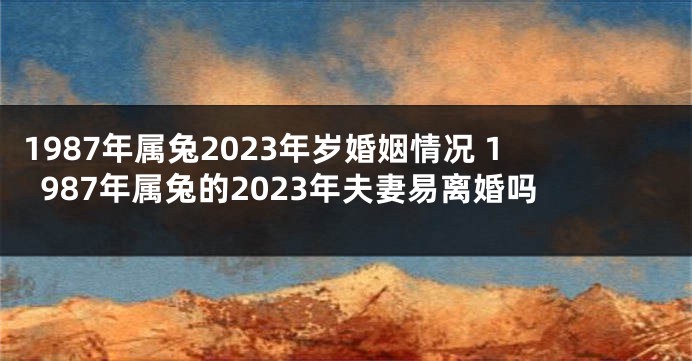 1987年属兔2023年岁婚姻情况 1987年属兔的2023年夫妻易离婚吗