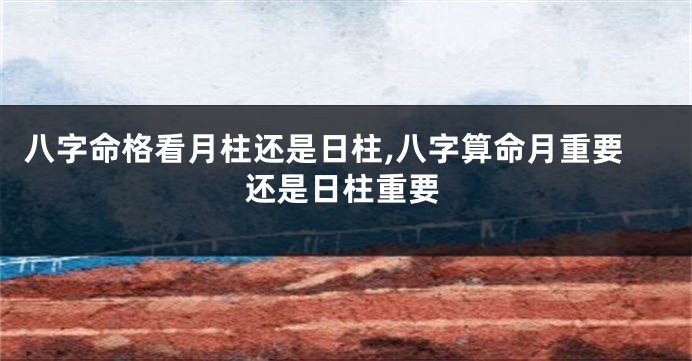八字命格看月柱还是日柱,八字算命月重要还是日柱重要