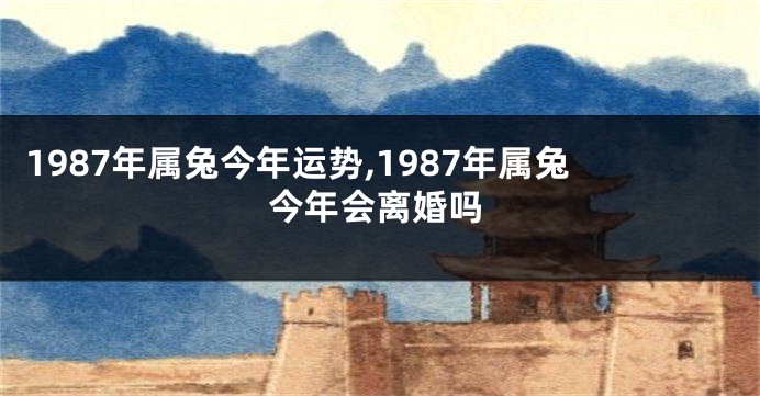 1987年属兔今年运势,1987年属兔今年会离婚吗