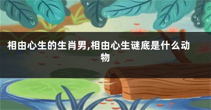 相由心生的生肖男,相由心生谜底是什么动物