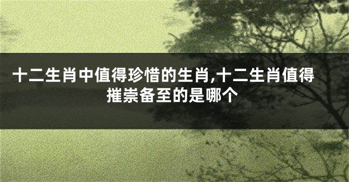 十二生肖中值得珍惜的生肖,十二生肖值得摧崇备至的是哪个