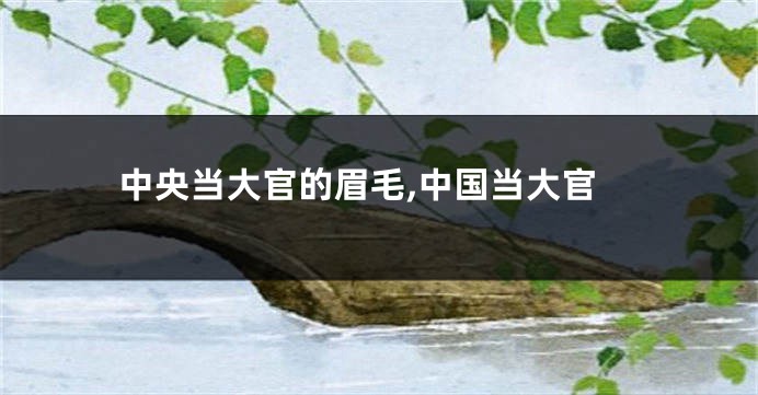 中央当大官的眉毛,中国当大官