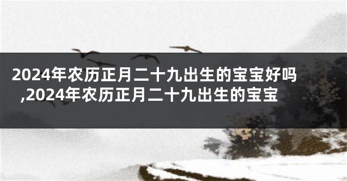 2024年农历正月二十九出生的宝宝好吗,2024年农历正月二十九出生的宝宝
