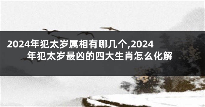 2024年犯太岁属相有哪几个,2024年犯太岁最凶的四大生肖怎么化解