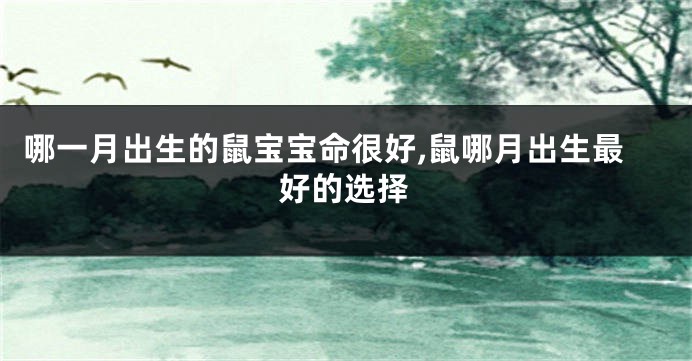 哪一月出生的鼠宝宝命很好,鼠哪月出生最好的选择