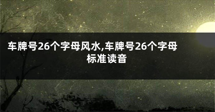车牌号26个字母风水,车牌号26个字母标准读音