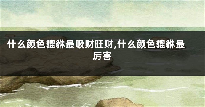 什么颜色貔貅最吸财旺财,什么颜色貔貅最厉害