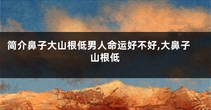 简介鼻子大山根低男人命运好不好,大鼻子山根低
