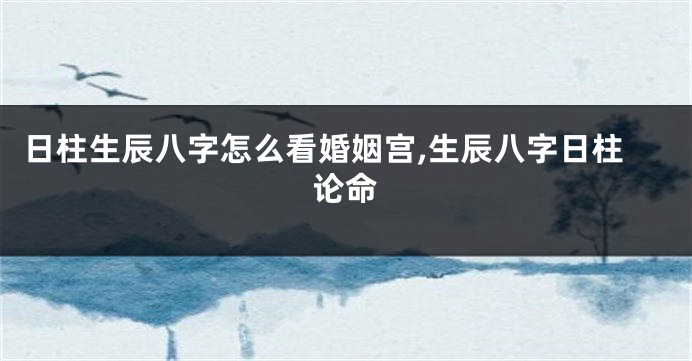 日柱生辰八字怎么看婚姻宫,生辰八字日柱论命