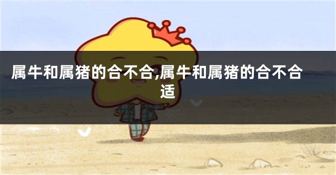 属牛和属猪的合不合,属牛和属猪的合不合适