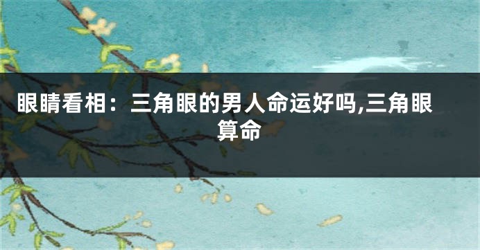 眼睛看相：三角眼的男人命运好吗,三角眼算命