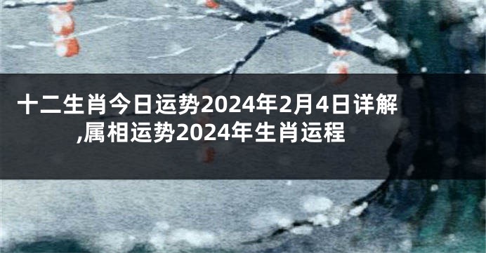 十二生肖今日运势2024年2月4日详解,属相运势2024年生肖运程