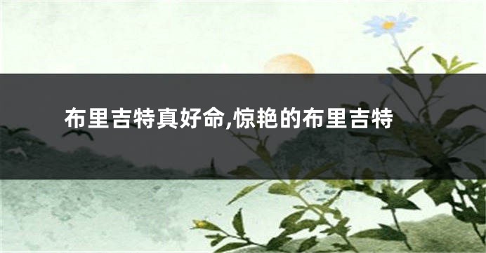 布里吉特真好命,惊艳的布里吉特