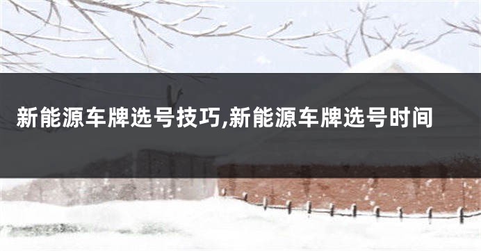 新能源车牌选号技巧,新能源车牌选号时间