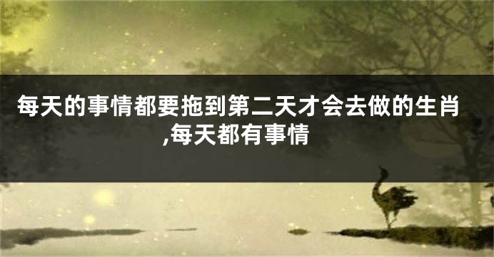 每天的事情都要拖到第二天才会去做的生肖,每天都有事情