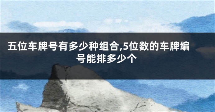 五位车牌号有多少种组合,5位数的车牌编号能排多少个