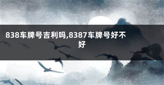 838车牌号吉利吗,8387车牌号好不好