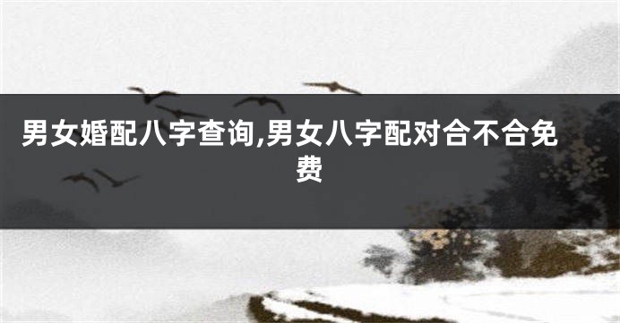 男女婚配八字查询,男女八字配对合不合免费