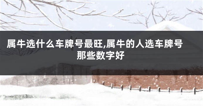 属牛选什么车牌号最旺,属牛的人选车牌号那些数字好