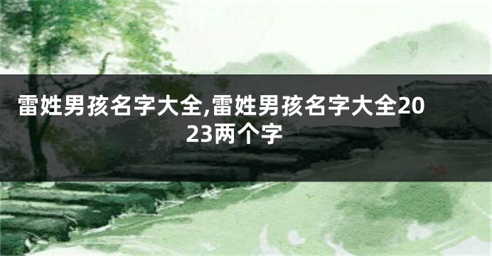 雷姓男孩名字大全,雷姓男孩名字大全2023两个字