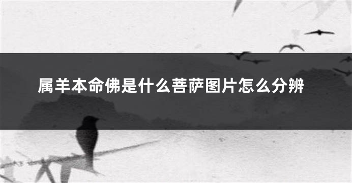 属羊本命佛是什么菩萨图片怎么分辨