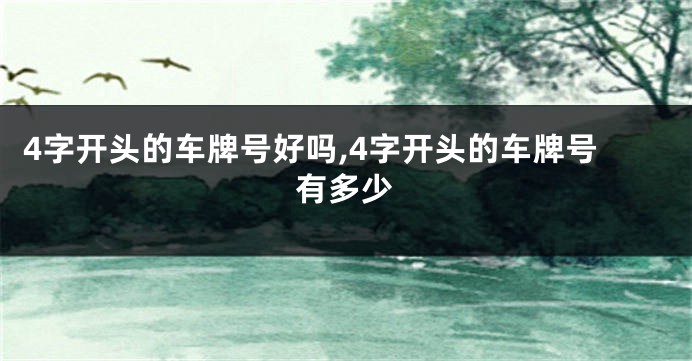 4字开头的车牌号好吗,4字开头的车牌号有多少